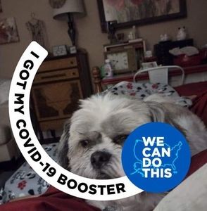 Meet your Posher, Cathy